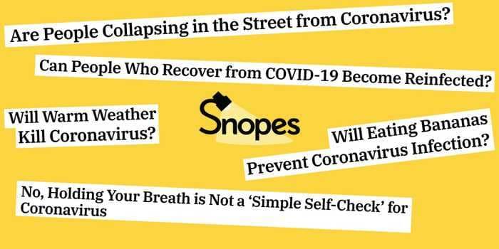 The CEO of fact-checking site Snopes was caught plagiarizing dozens of articles