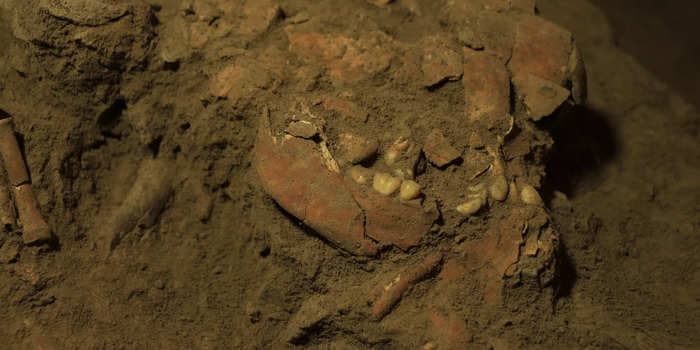 Researchers have found the remains of a teenager that died 7,200 years ago, revealing a group of humans previously unknown to science