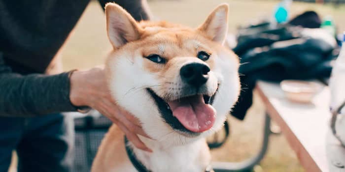 Robinhood lists shiba inu coin and other popular altcoins as the trading app looks to boost crypto offerings