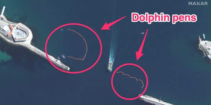 Satellite photos show militarized dolphin pens at a major Russian naval base in Sevastopol