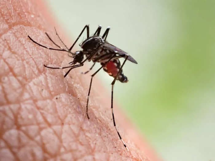 Rising dengue cases in Uttar Pradesh put health officials on high alert