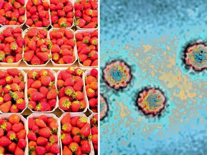 Strawberries have been linked to an outbreak of hepatitis A — here's what to know about who's most at risk from the virus