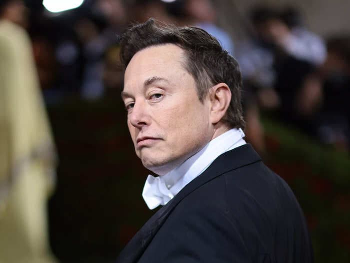 Elon Musk can be like a 'toddler' having a 'tantrum,' Tesla's former marketing chief said. 'I was seeing this person that was taken by anger.'
