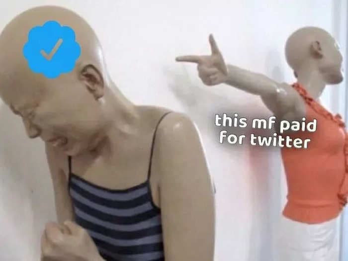 If you paid for Twitter verification, there is a mean meme to mock you &mdash; and they're kind of hilarious