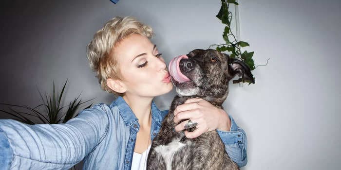 Is it risky to let your dog lick you? The truth about dogs' mouths being cleaner than humans'