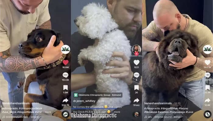 Dog chiropractic videos have exploded in popularity online. This viral TikTok pet doctor explains when to seek out care and what to expect.