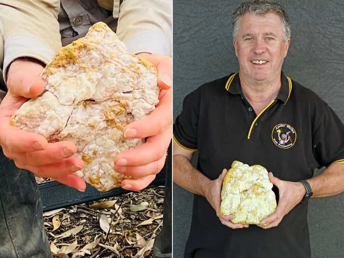 An Australian man found $160,000 worth of gold in a 10-pound rock using a low-end metal detector