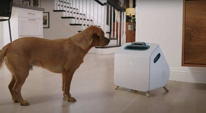 This dog-babysitting robot can feed and play with your furry friend while you're away &mdash; for $49 per month
