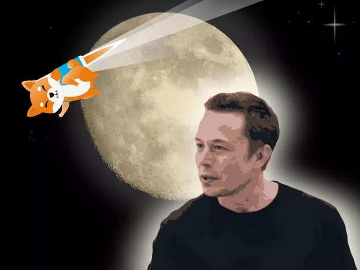 Elon Musk brings Shiba Inu back to Earth — Dogecoin is the only meme token he’s betting on