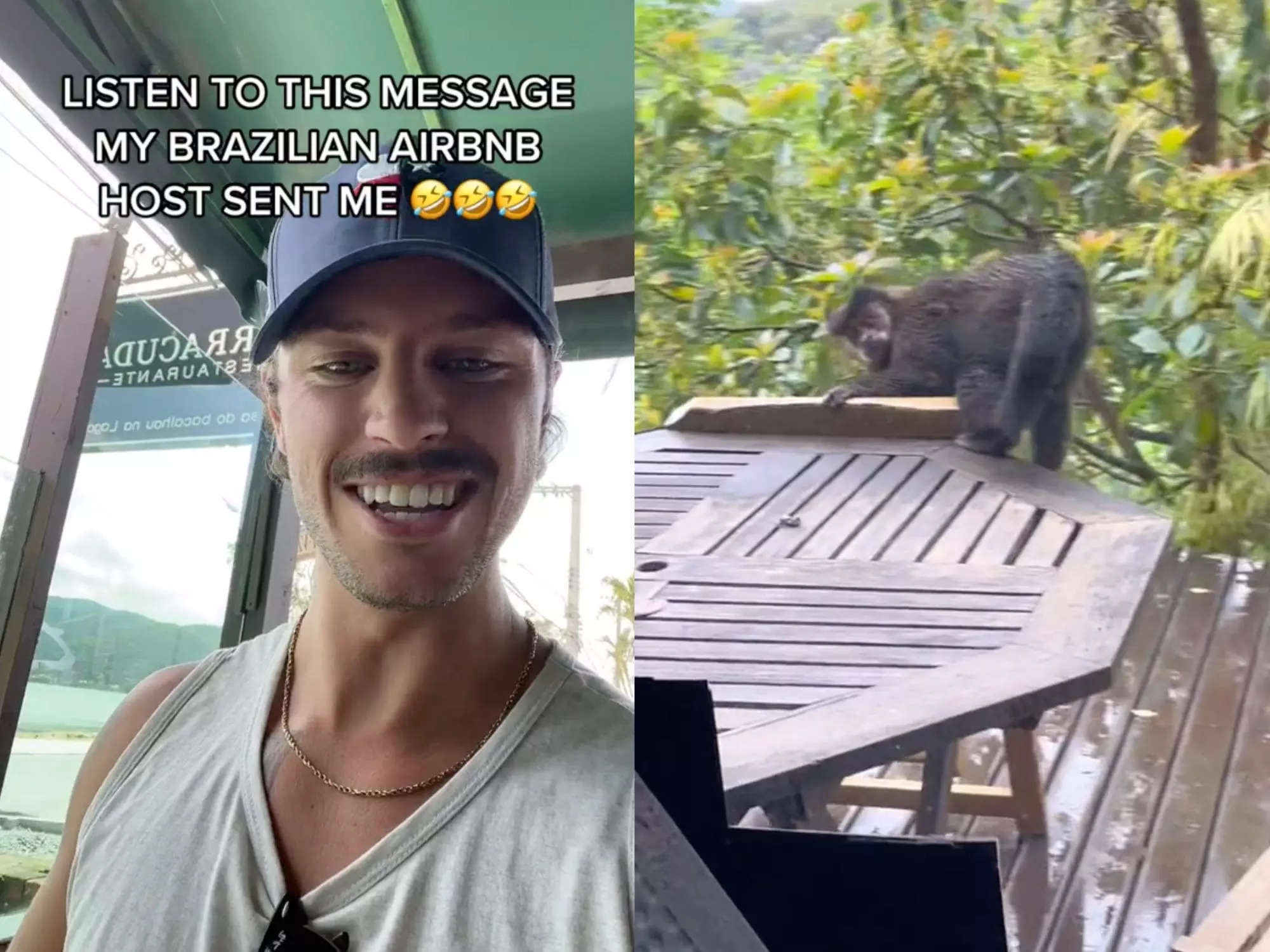 A travel influencer shared voice notes from his Airbnb host warning him about monkeys breaking in and raiding the fridge