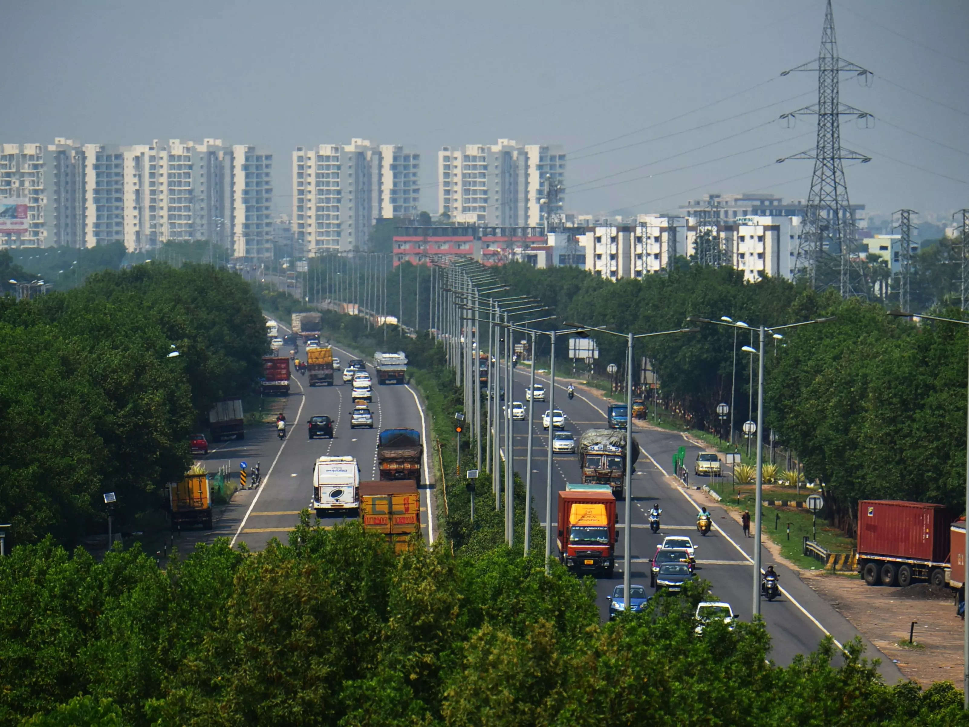 Planting trees and bushes along highways can significantly cut local motor pollution  levels, study finds | Business Insider India