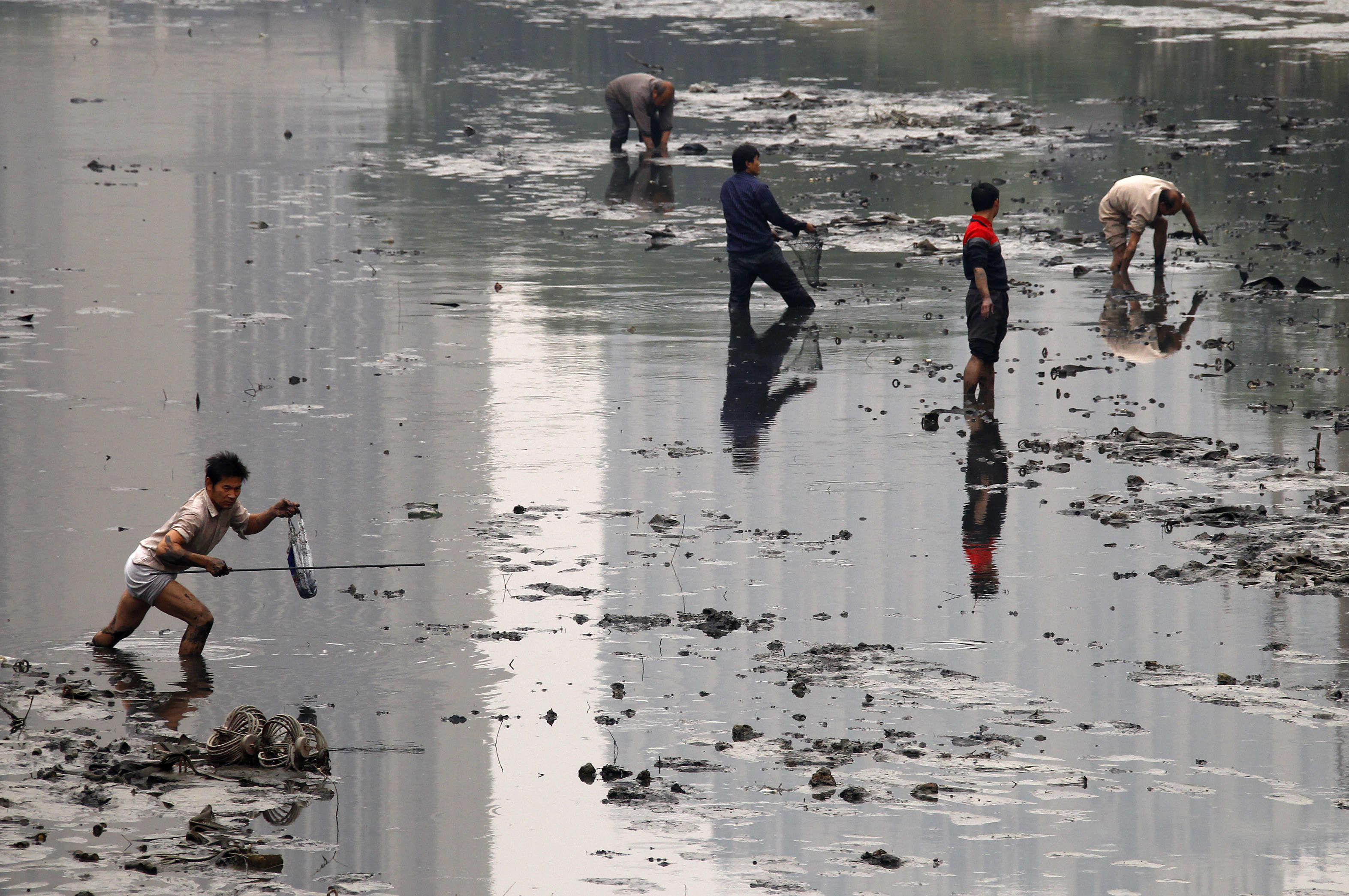 Стой грязная вода. Загрязненная вода в Китае. Грязные реки Китая. Янцзы загрязнение. Река Янцзы загрязнение.