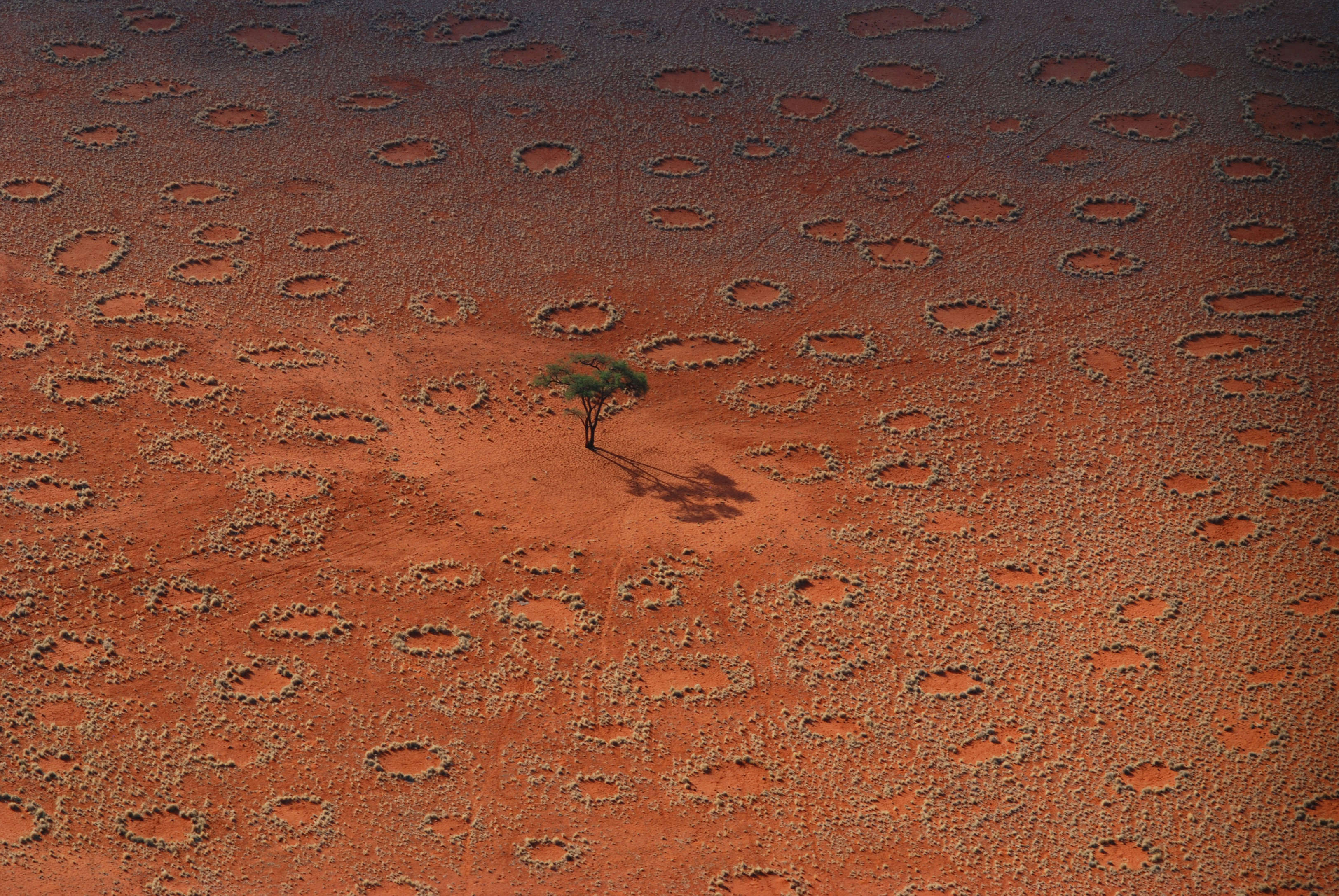Кругом было пустынно. Пустыня Намиб загадочные круги. Ведьмины круги в Намибии. Волшебные круги Намибии. Круги в пустыне Намиб.