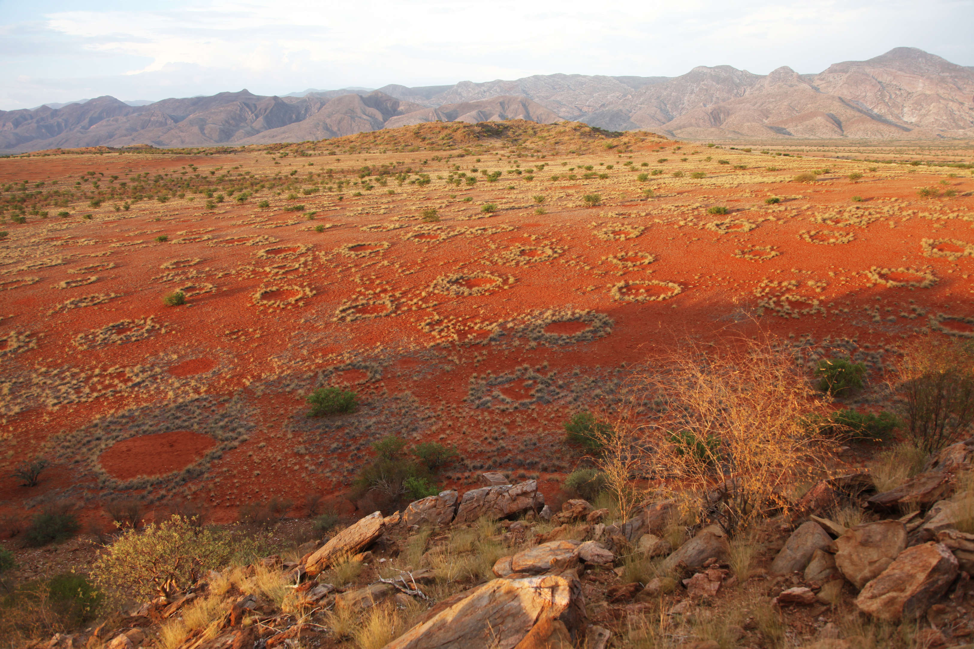 Кругом было пустынно. Ведьмины круги пустыня Намиб. Ведьмины круги в Намибии. Круги пустыни Намиб. Пустыня Намиб загадочные круги.