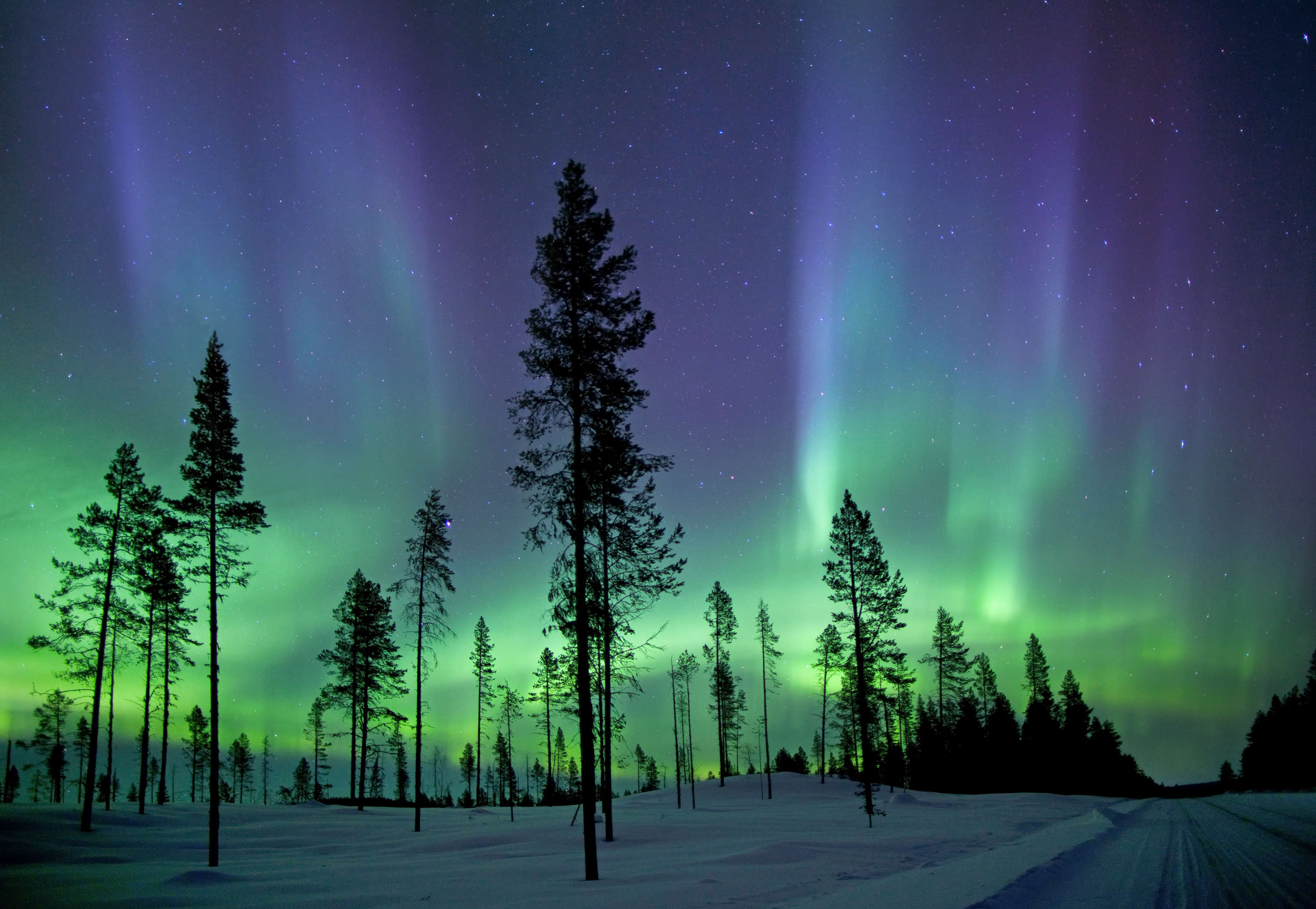 Northern. Аврора бореалис Северное сияние. Northern Lights Ranch, Лапландия Финляндия. Северное полярное сияние. Северное сияние в Финляндии.