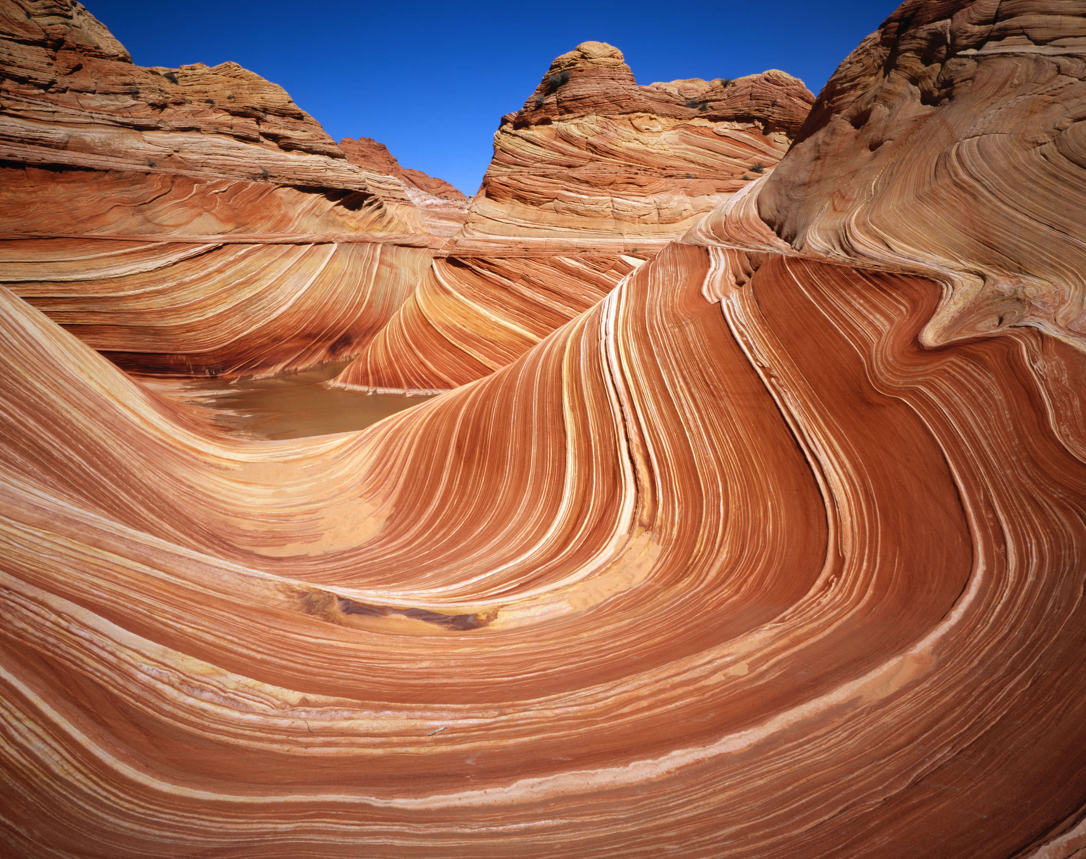 Места с уникальной природой. Волна (Скальная формация). Скальная формация волна (Аризона,США). Самые красивые места на планете. Необычные места.
