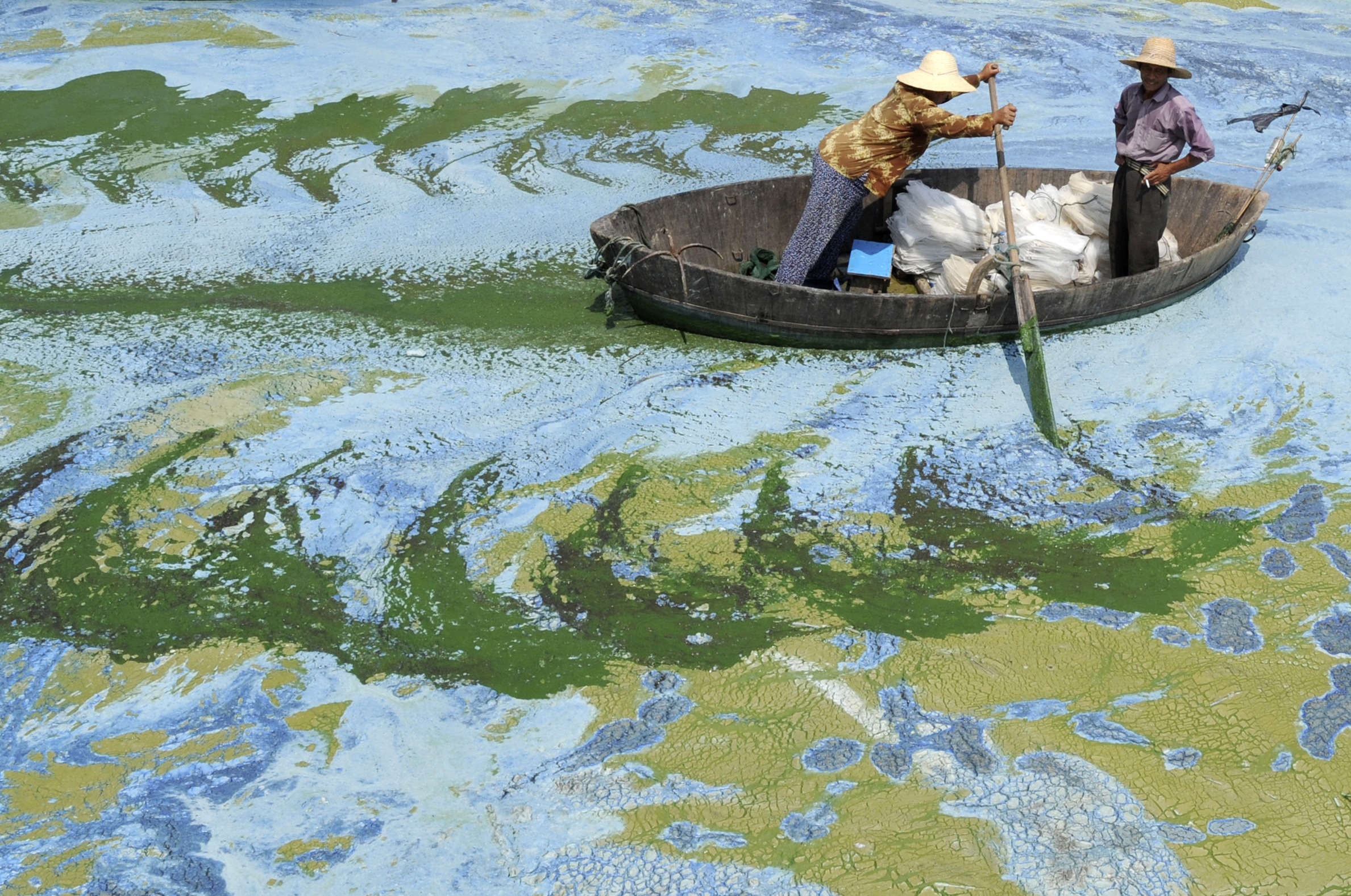 Water ecology. Озеро Чаоху. Чаоху Китай. Загрязнение воды. Загрязнение водоемов.