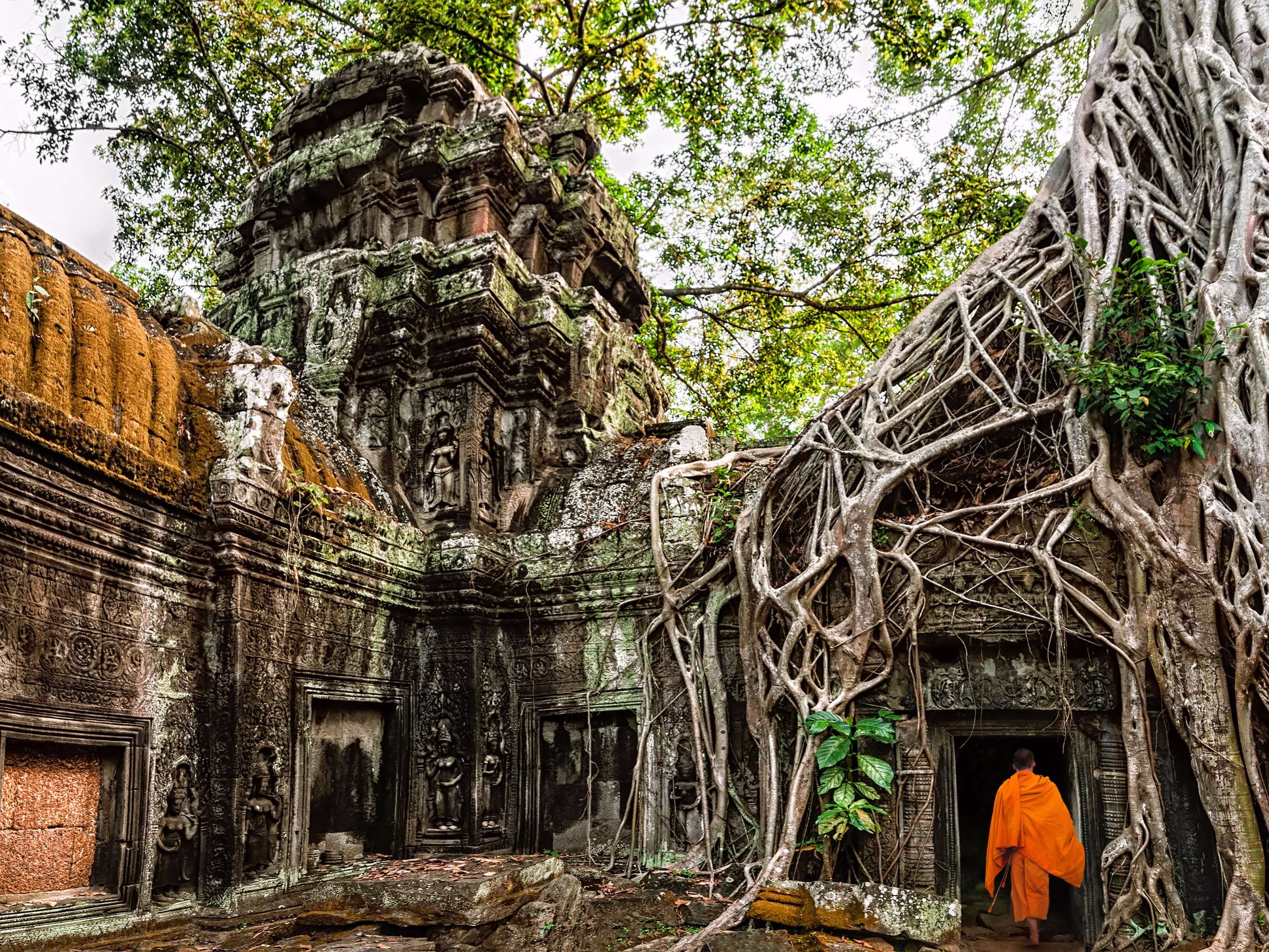 Спас в джунглях. Камбоджа храмы в джунглях. Ангкор ват храм та Пром. Джунгли Камбоджи храм Ангкор. Ангкор-ват ("город-храм") Камбоджа.