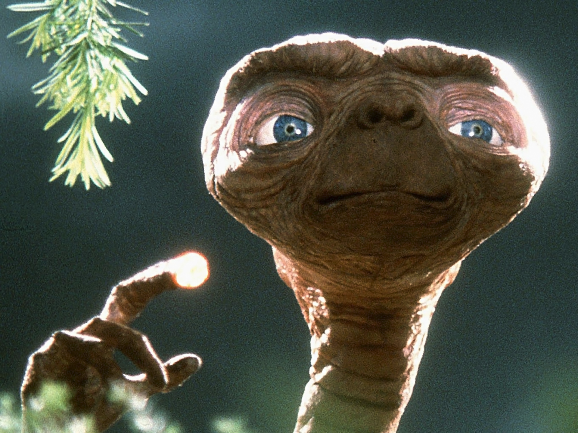 The extra years are. Инопланетянин 1982. Инопланетянин e.t. the Extra-Terrestrial 1982.