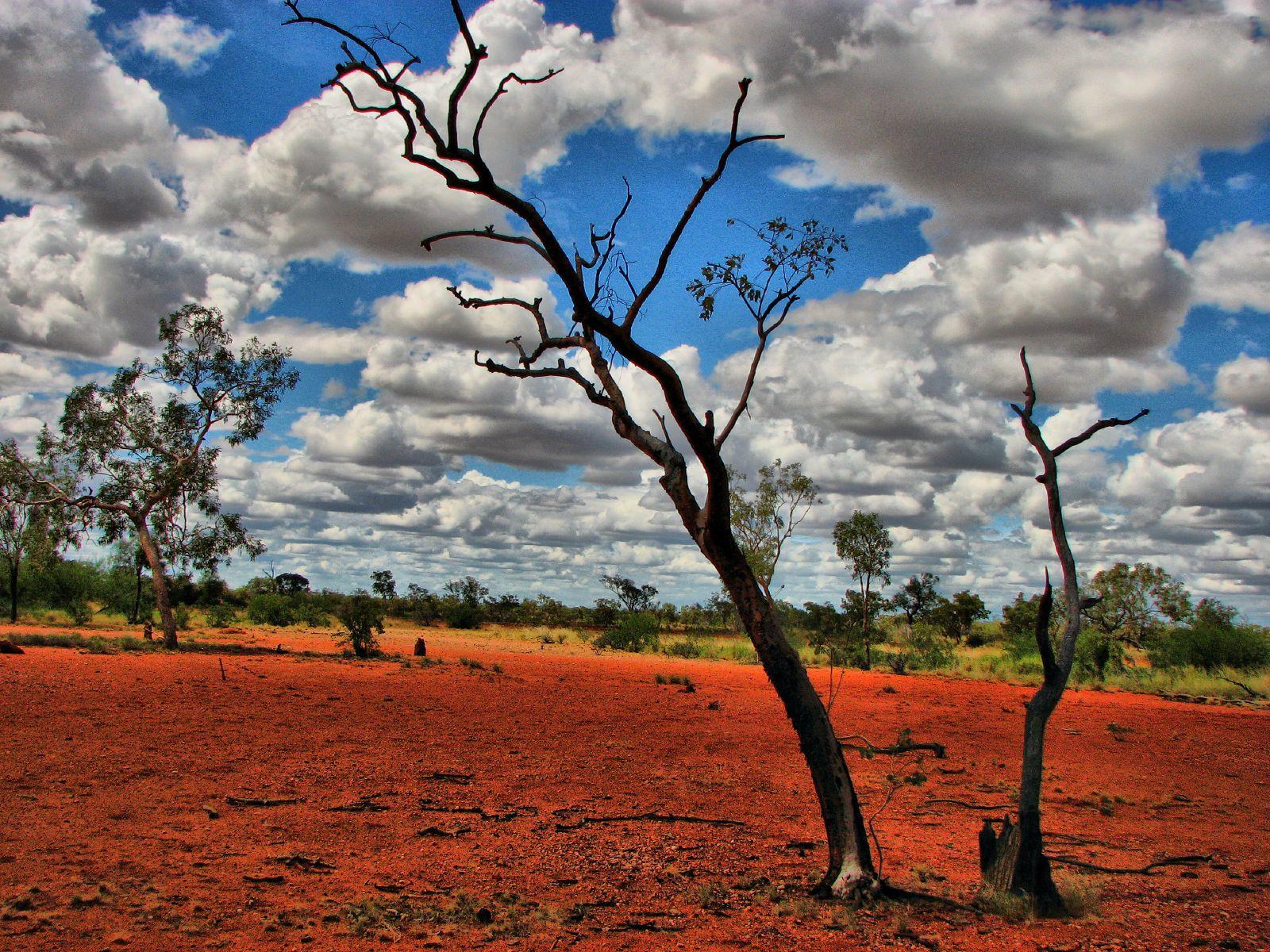 Природа австралии климат