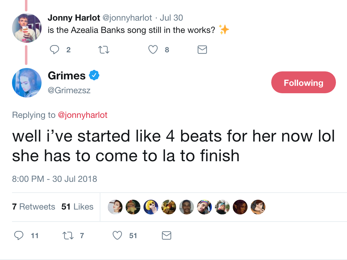 Grimes admits she has a number of fake Twitter accounts she uses to 'get  into fights