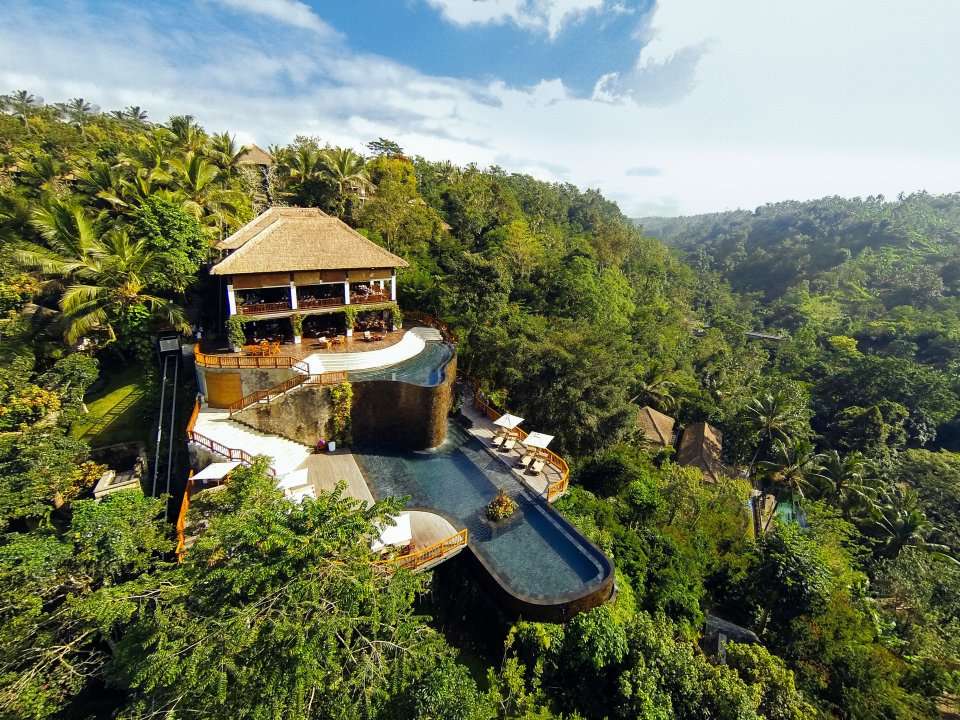 A luxury resort in the middle of the jungle in Bali has the world's ...