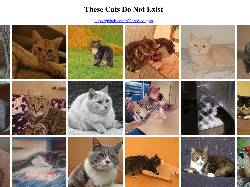 Thiscatdoesnotexist. This Cat does not exist. This Cat doesn't exist. These Cats.
