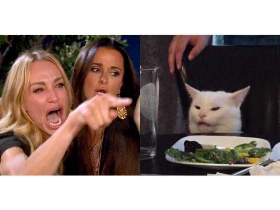 Woman Pointing At Cat Meme Template