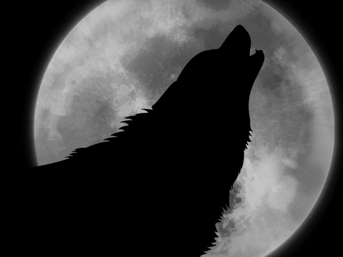 Wolf Moon Lunar Eclipse This Friday Will Have Werewolves Looking To Form Packs Or So The Myth Says Business Insider India