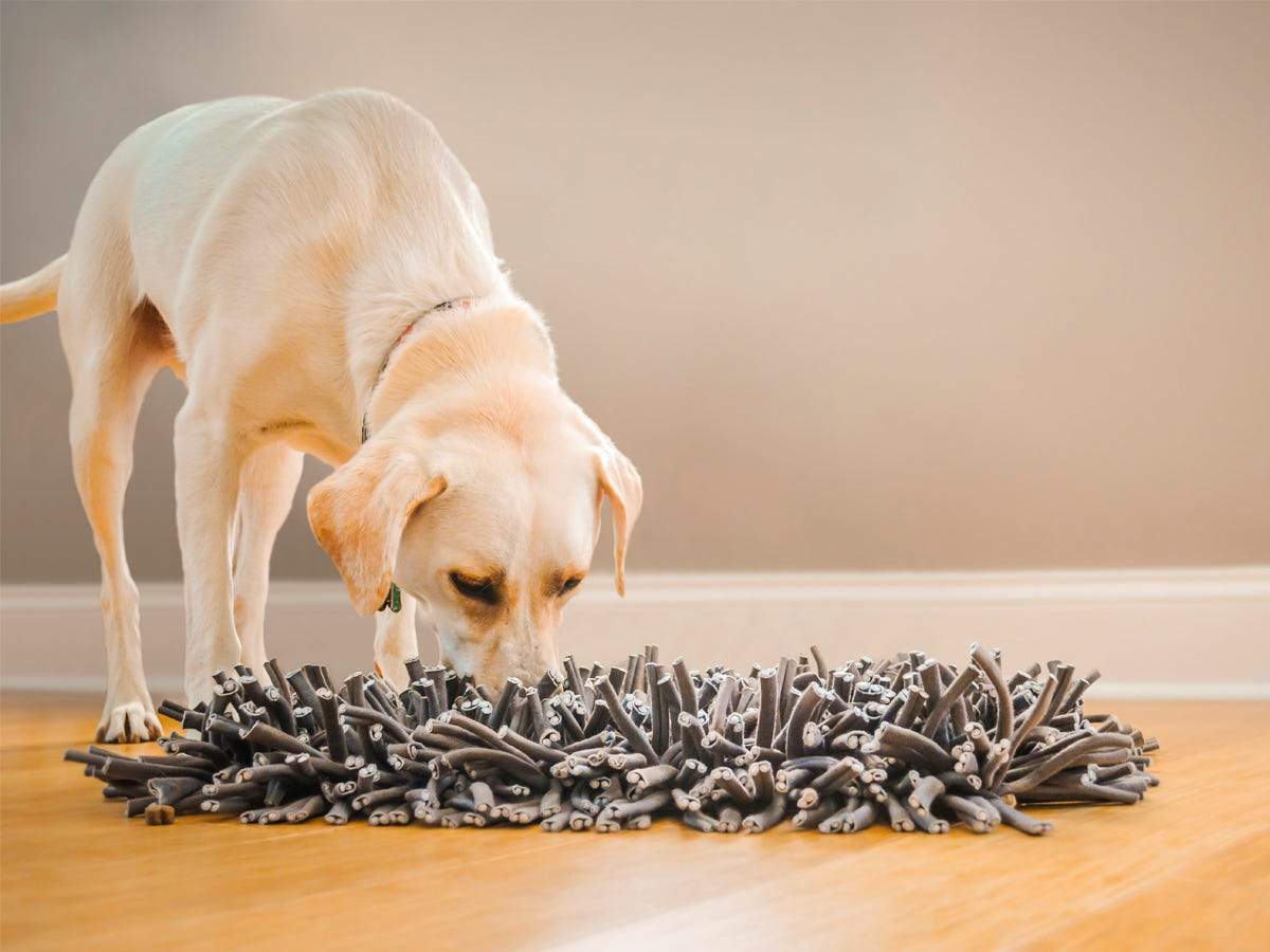 This snuffle mat mimics grass so dogs can hunt for treats and