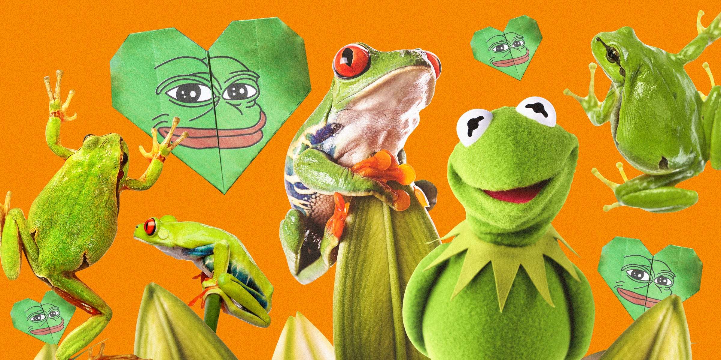 Frog Memes Are In An Internet Golden Age Having Gone Beyond Pepe