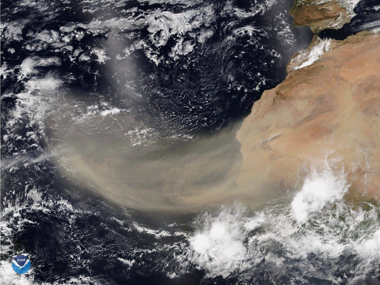 An unprecedented 'Godzilla dust cloud' from the Sahara has ...