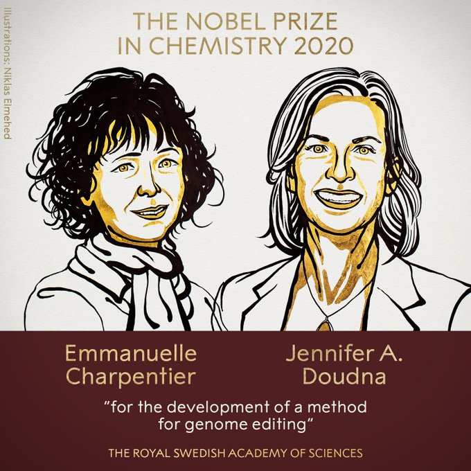 Nobel Prize in Chemistry 2020 – Emmanuelle Charpentier and Jennifer A.  Doudna win the prestigious award for genome editing | Business Insider India