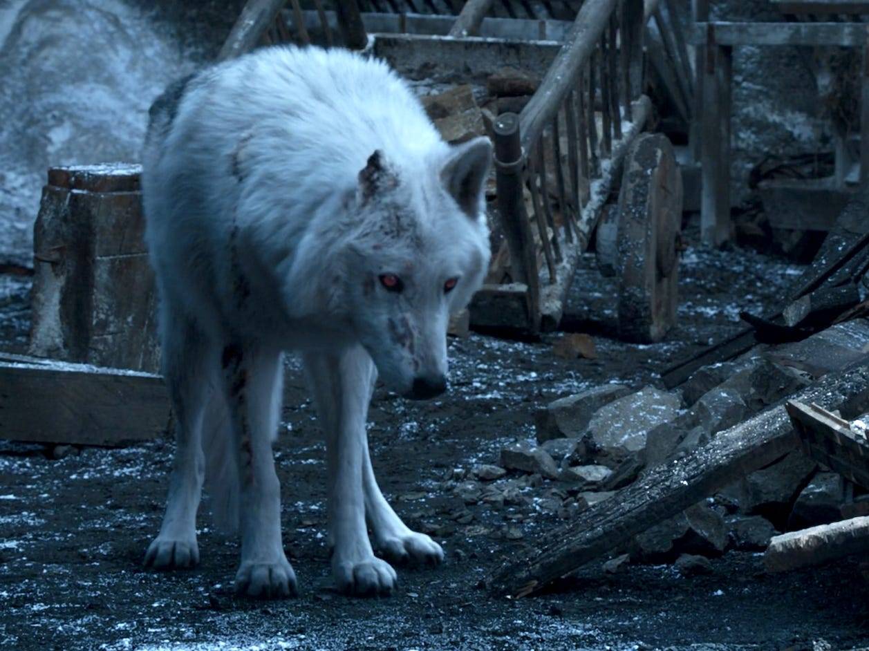 The Direwolves In Game Of Thrones Were Supposed To Mean More