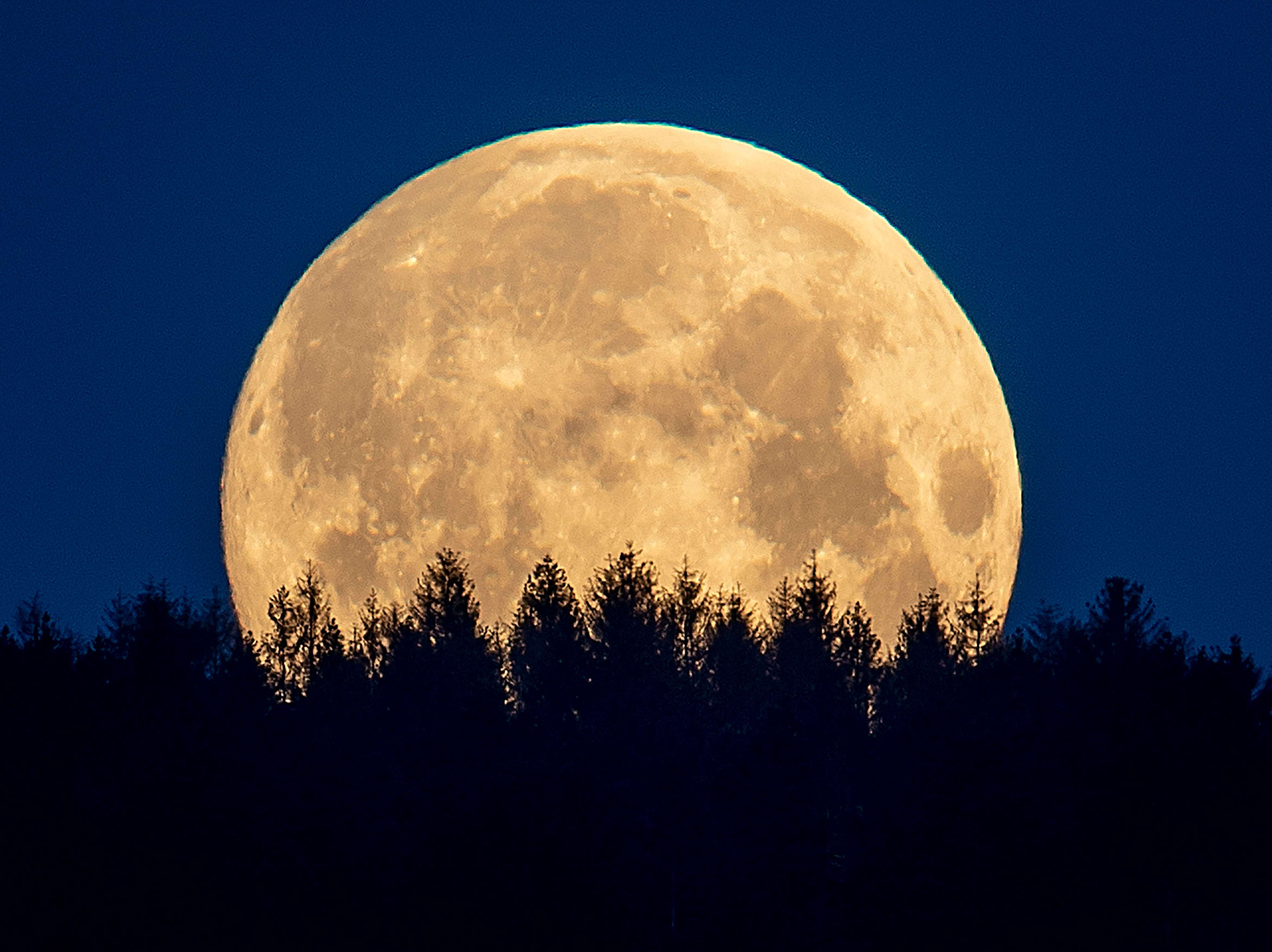 A rare Blue Blood Moon rises on Halloween. Here's what that means