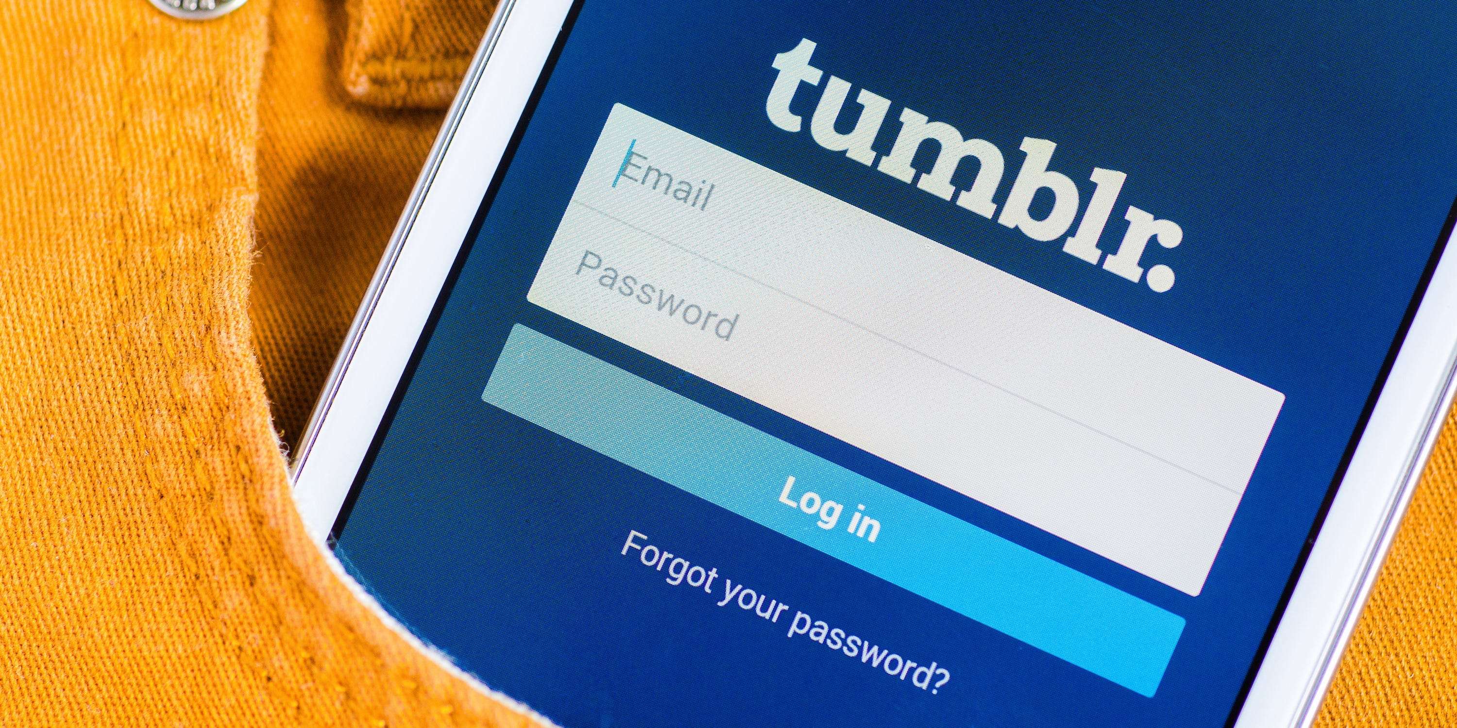 How to delete your Tumblr account or specific blogs, and erase all of your  posts and likes | Business Insider India