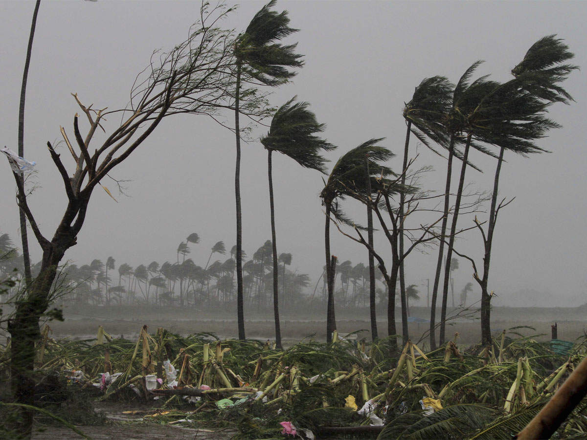 Depression intensifies into cyclone Nivar, to cross TN, Puducherry