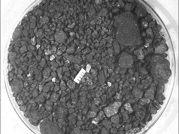 Moon dust for $1 — that's all NASA is paying one of the companies selected  to collect lunar samples