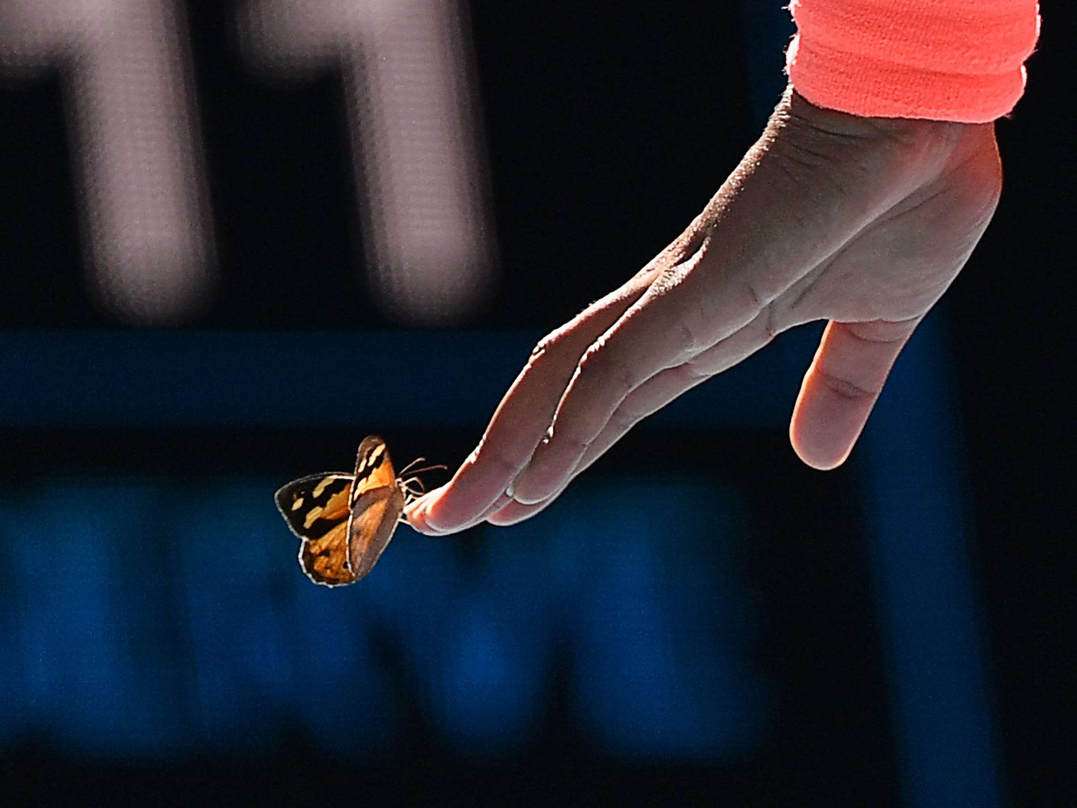 When a fan yelled out to @naomi.osaka that a butterfly was on her
