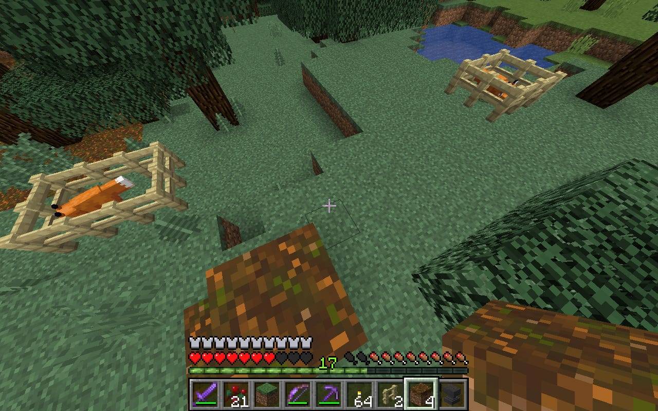 How to tame a fox in 'Minecraft' and get the game's cutest NPC to follow  you | Business Insider India