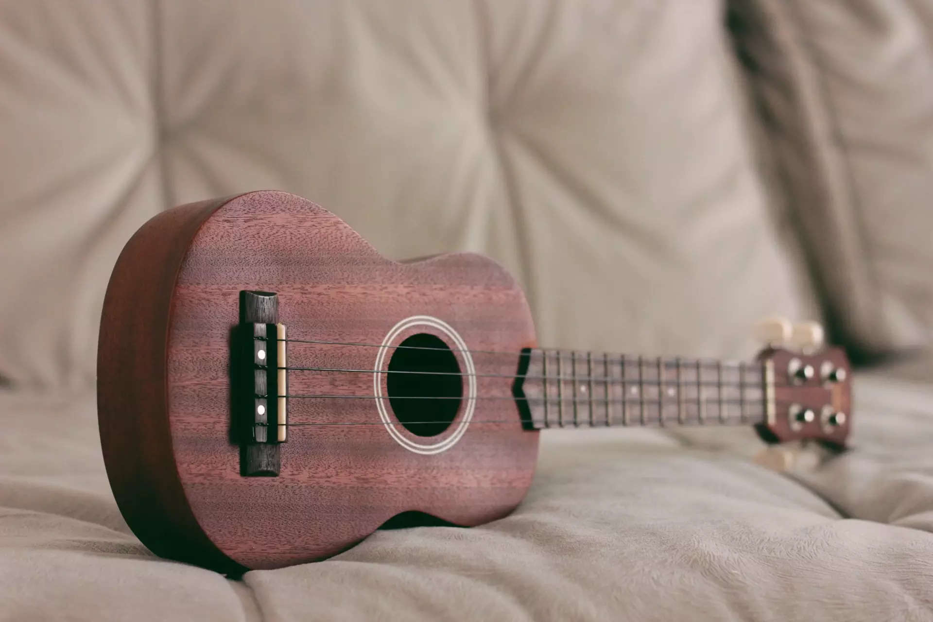 Best ukuleles for beginners and professionals | Business Insider India