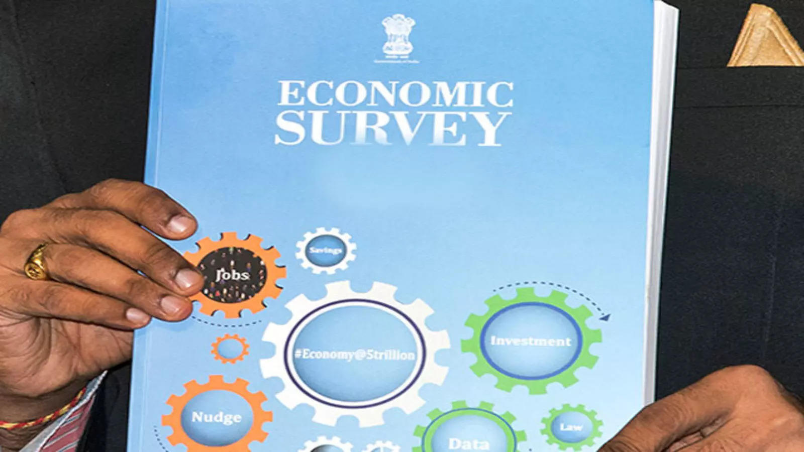 
EXPLAINED: India’s annual Economic Survey
