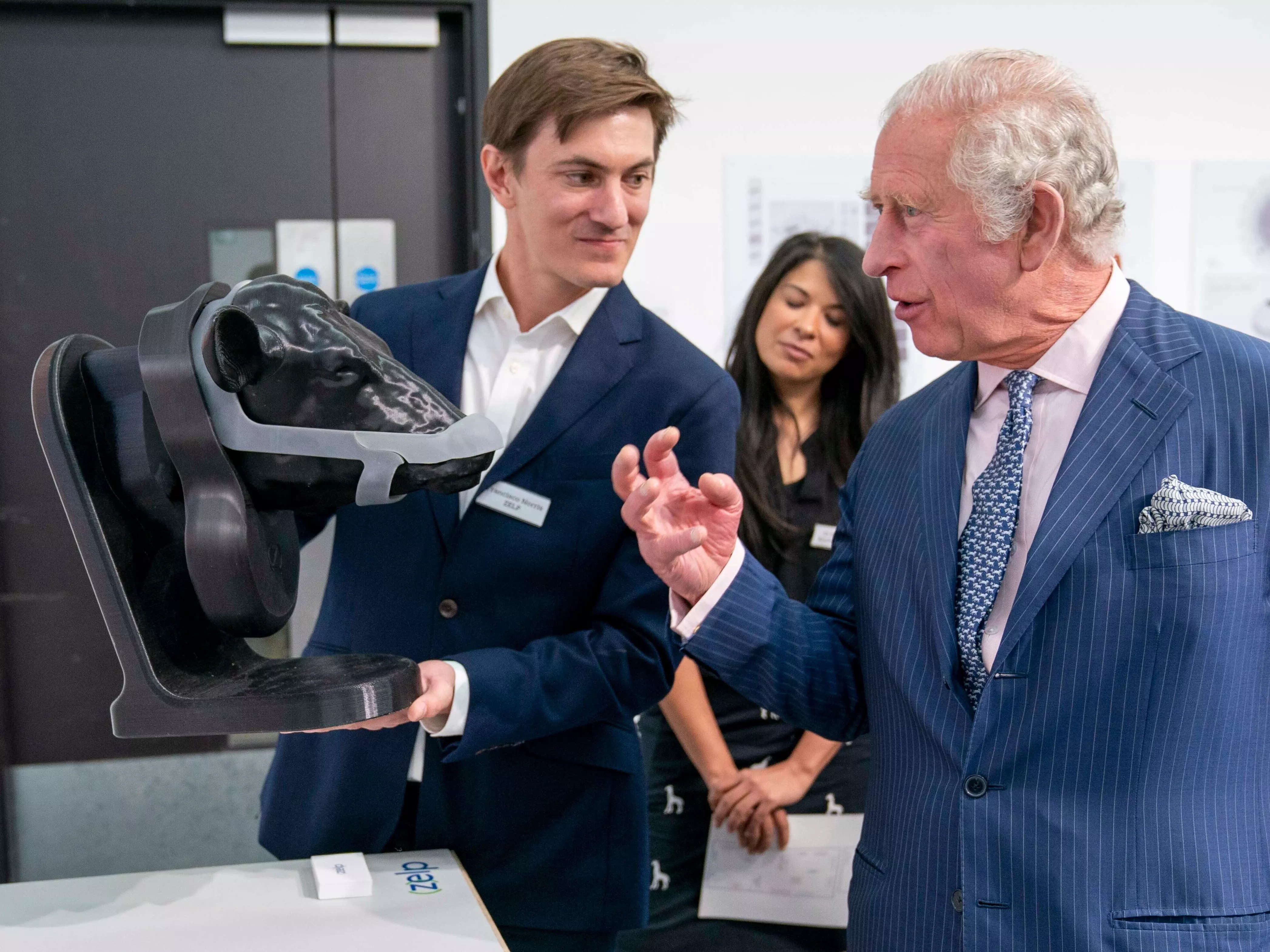 Burp-catching mask for gassy cows, designed to reduce methane emissions and slow down climate change, wins prestigious Prince Charles prize | Business Insider India