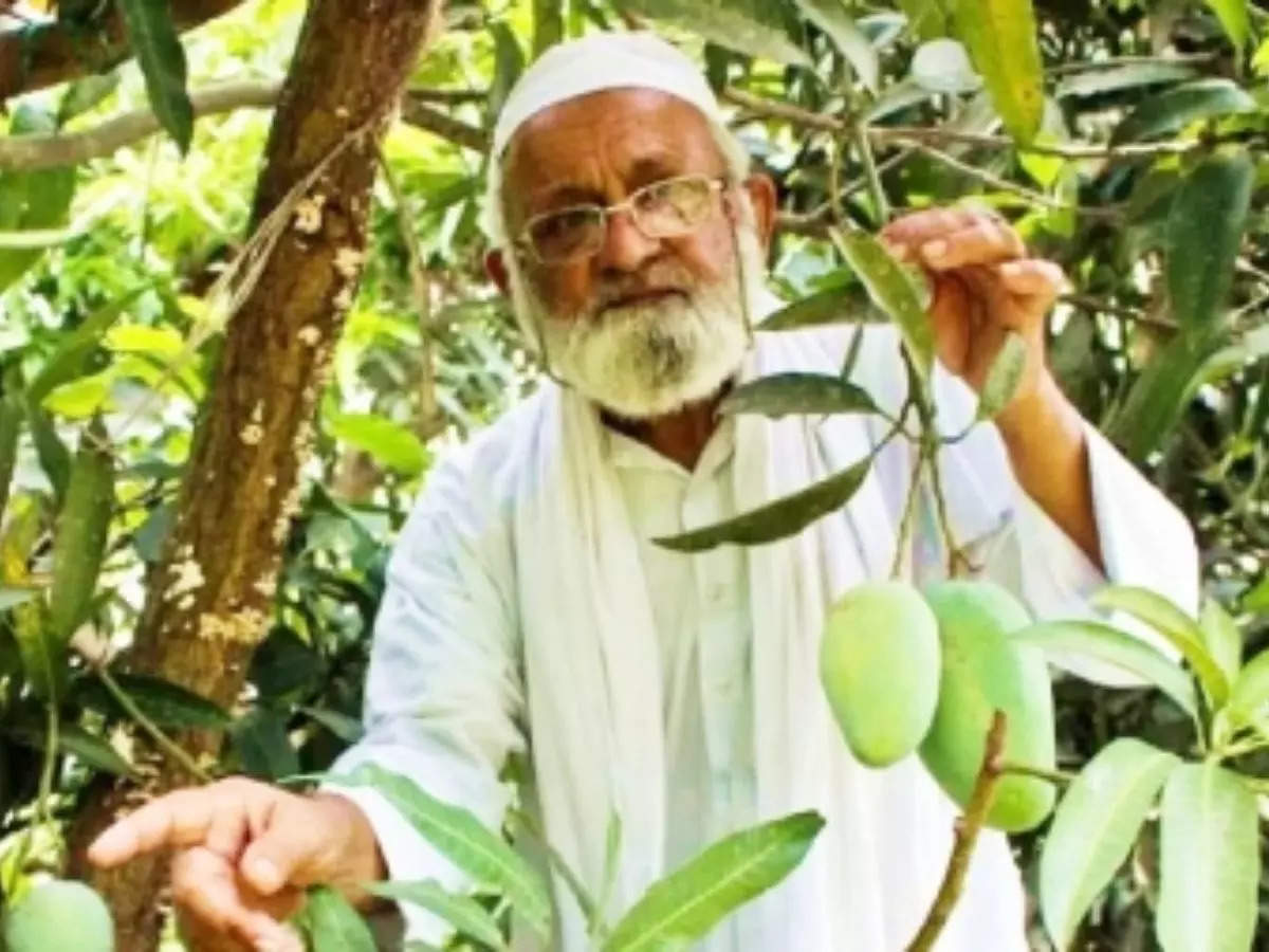 This 120 year old mango tree with 300 mango varieties, is an ...