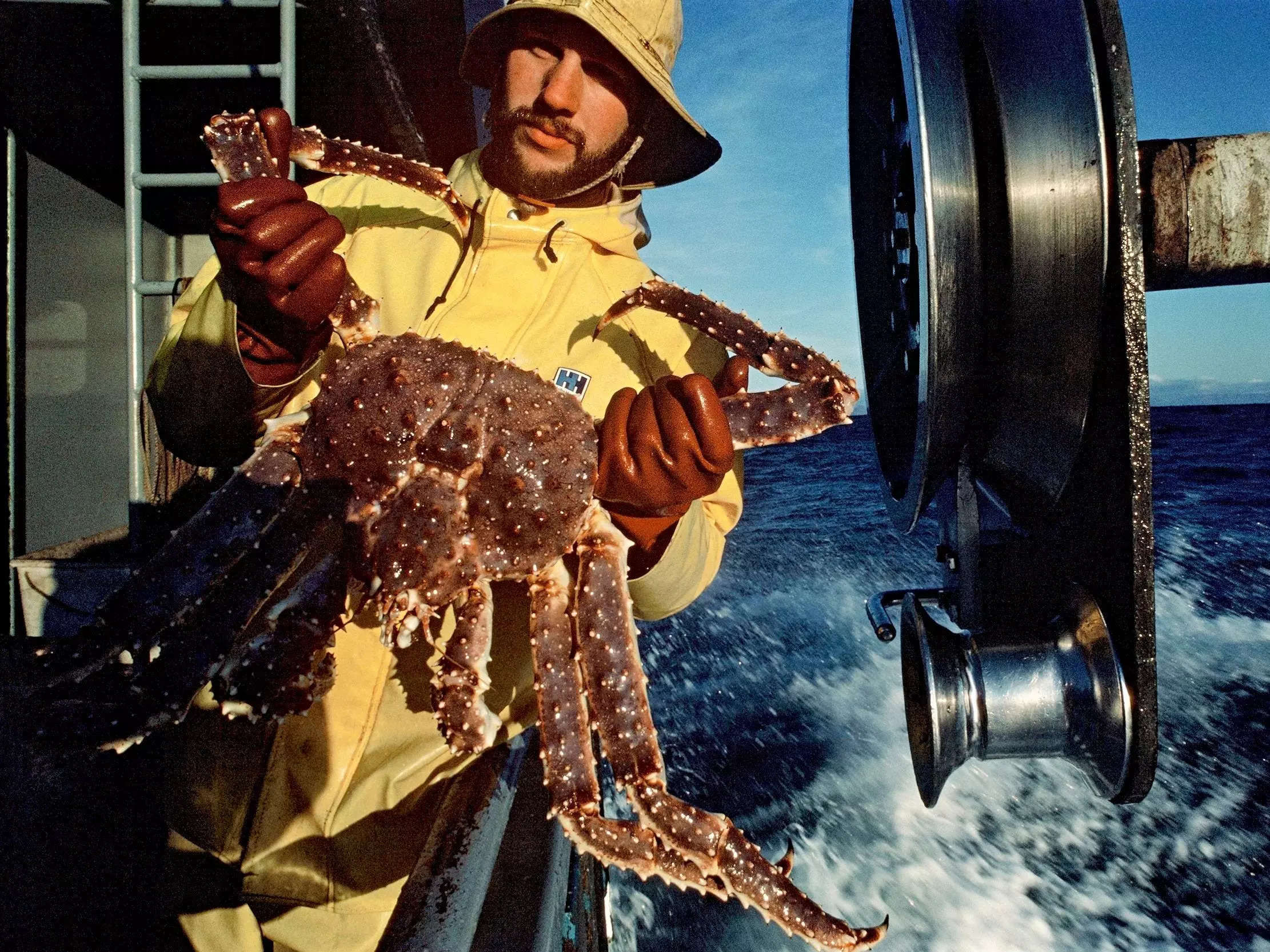 Alaska cancels snow crab fishing for a year after the population  mysteriously collapsed
