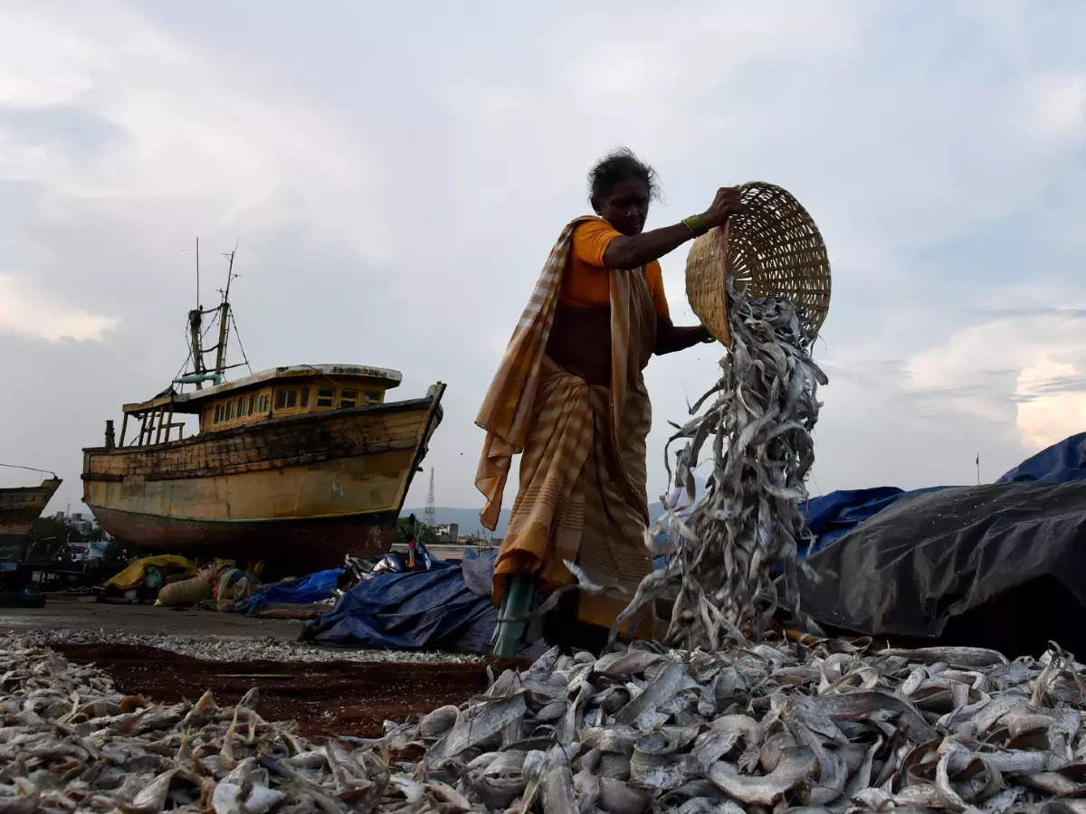 Teach a man to sustainably fish: Goa to install CCTV cameras in