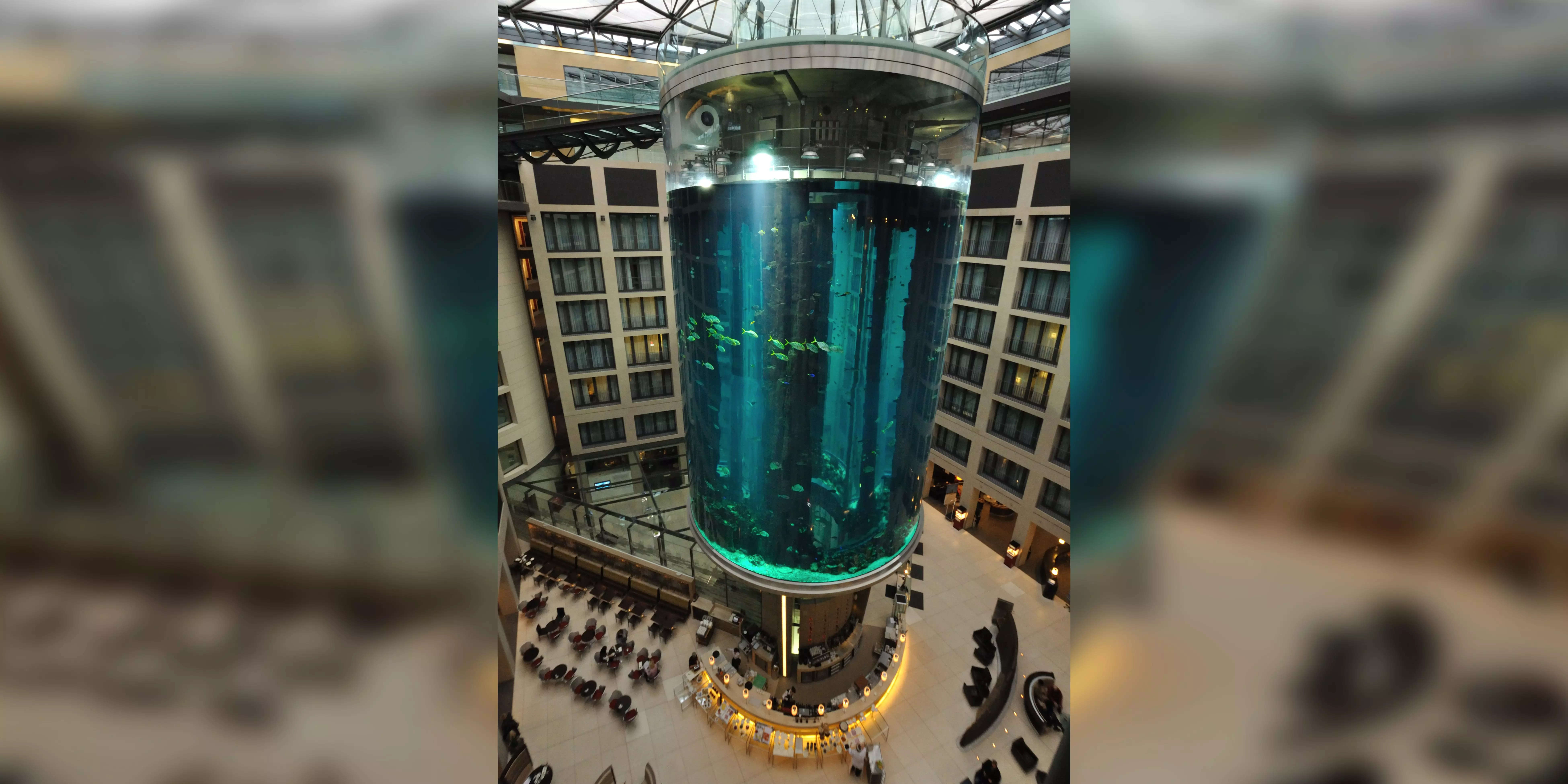 Prik Aan het water Verwacht het An enormous fish tank in a Berlin hotel lobby burst, spilling 250,000  gallons of water and likely killing all its 1,500 tropical fish | Business  Insider India