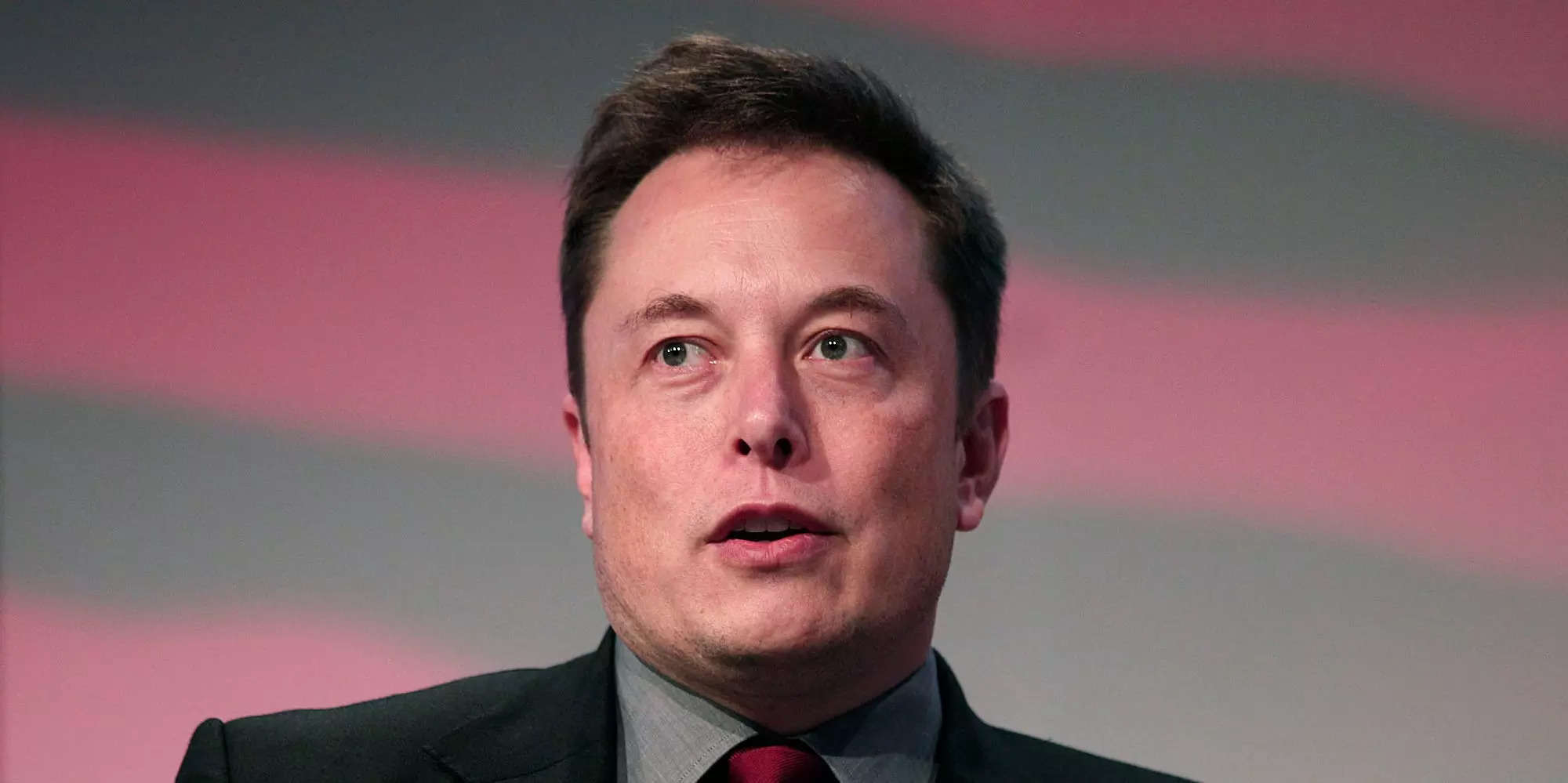 elon musk bemoans selling tesla stock to buy twitter - and pokes fun at michael burry for deleting his profile | business insider india