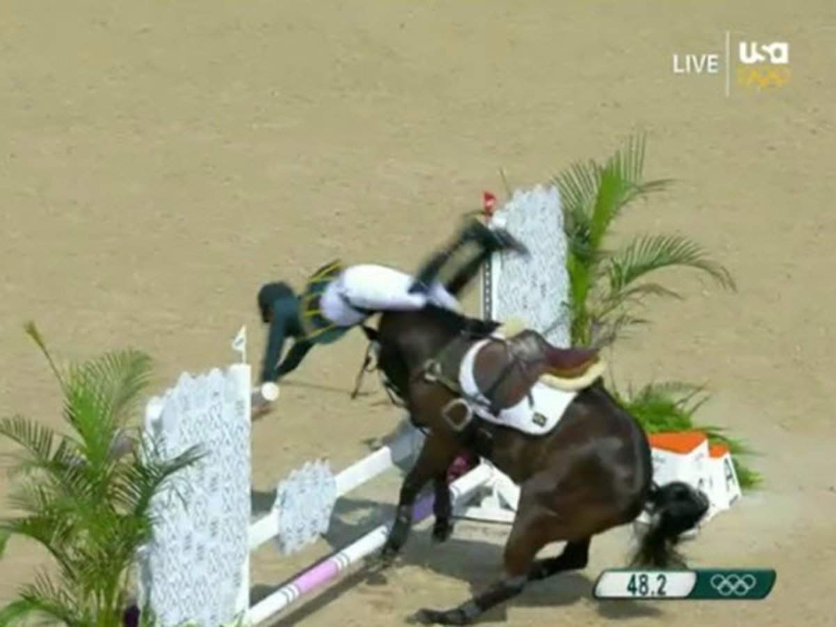 Funny video shows Olympic horse refusing to jump in equestrian event as the  rider goes flying | Business Insider India