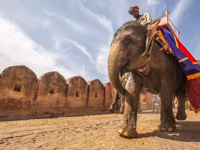 Jaipur, Rajasthan - The Pink City Retreat